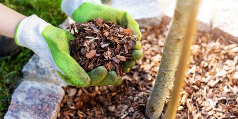 Mulching